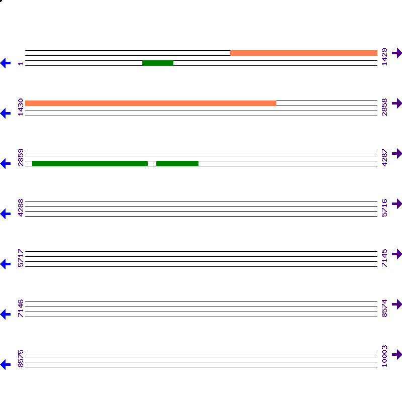 Genome View