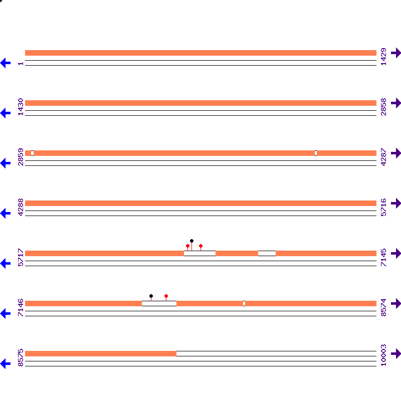 Genome View