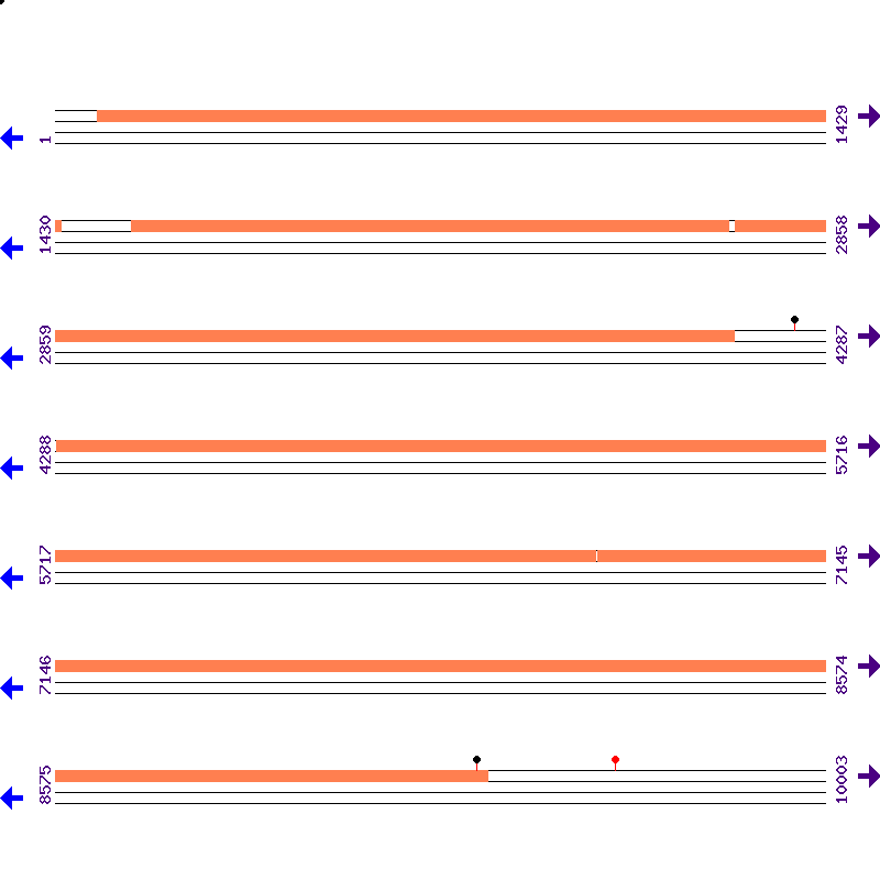 Genome View