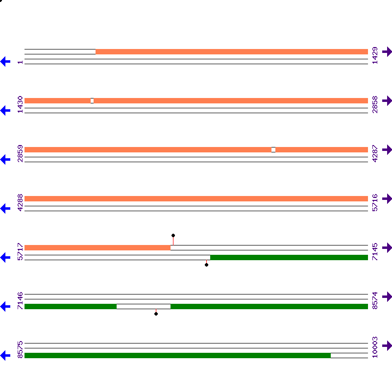 Genome View