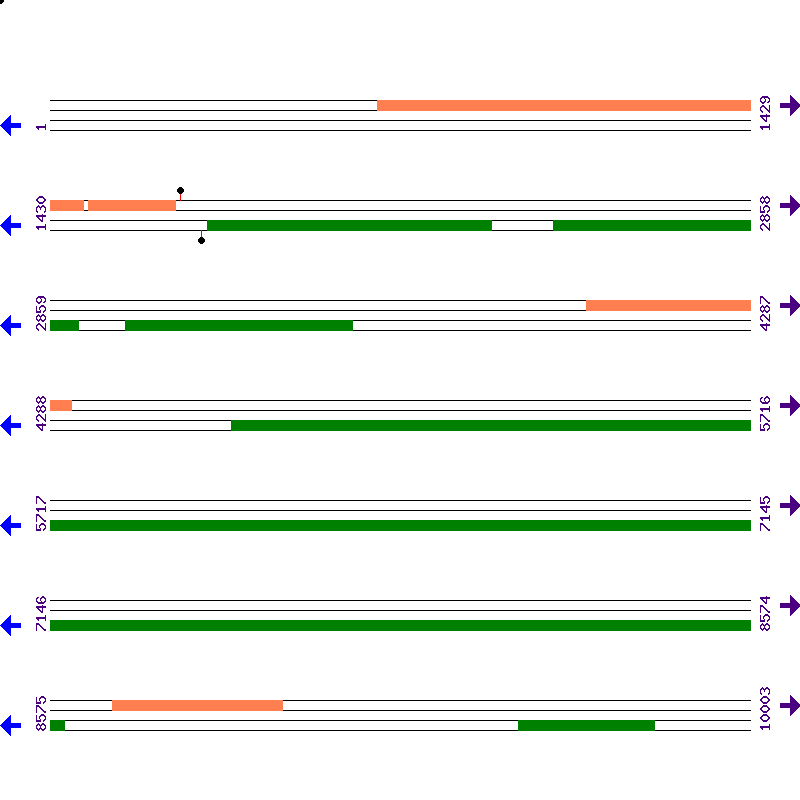 Genome View