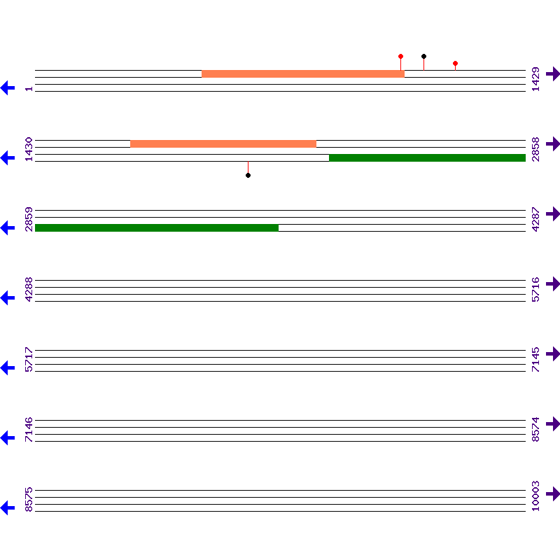 Genome View