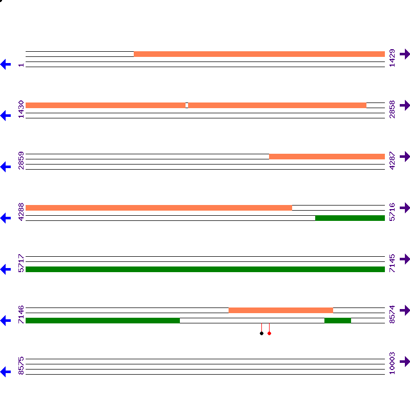 Genome View