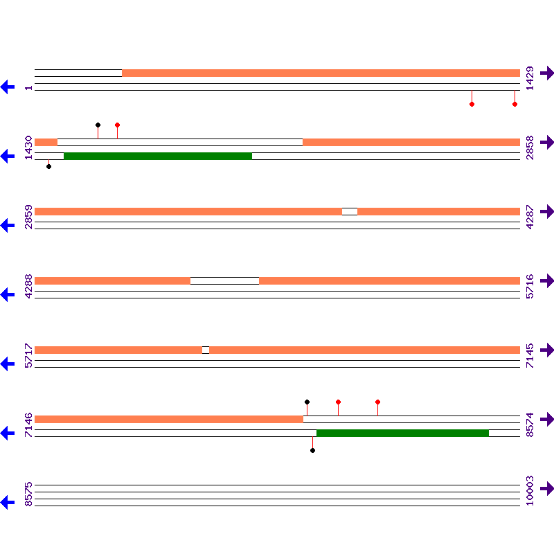 Genome View