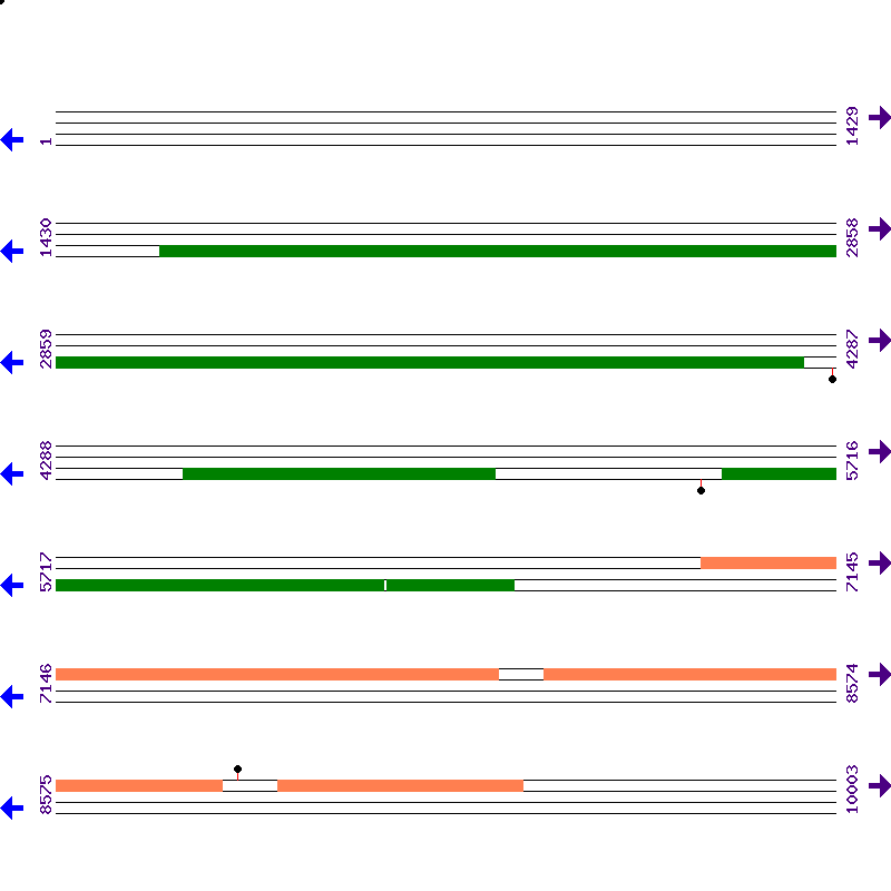 Genome View