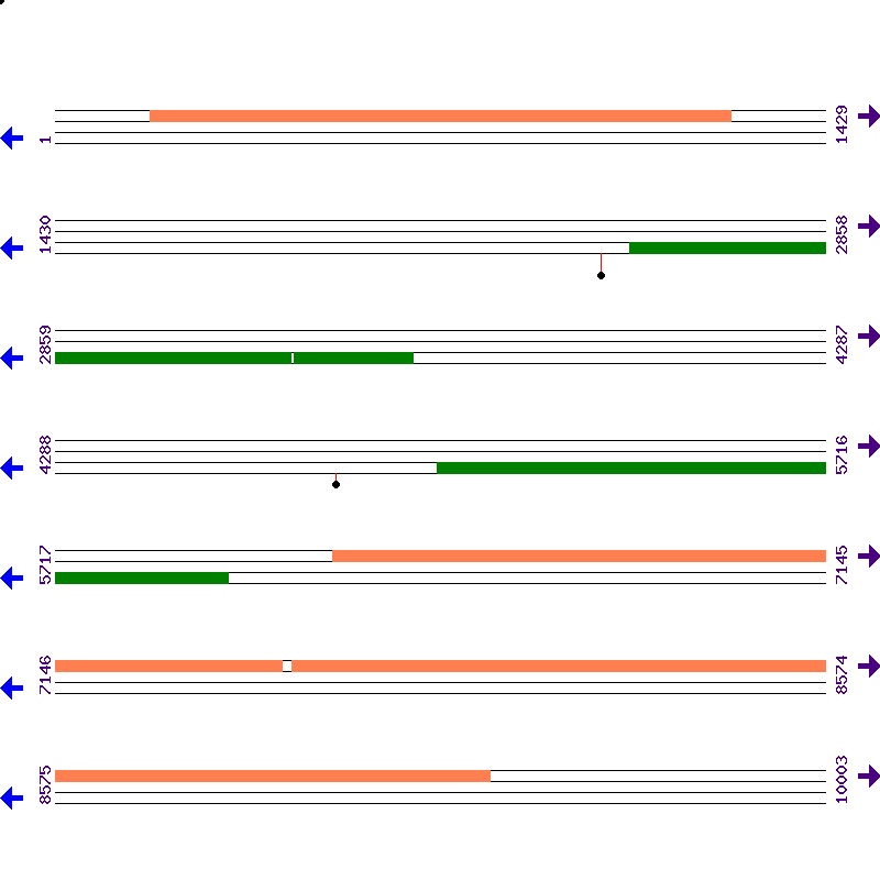 Genome View
