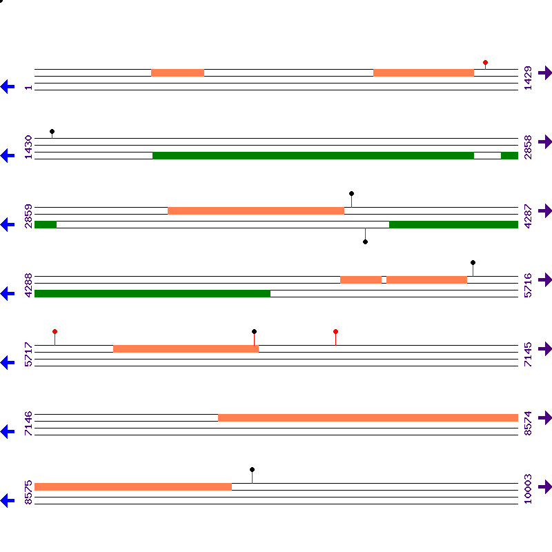 Genome View