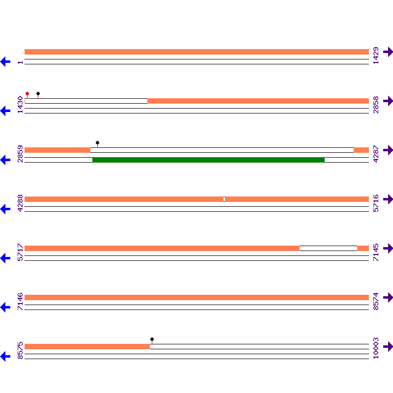 Genome View