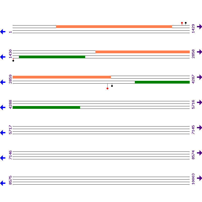 Genome View