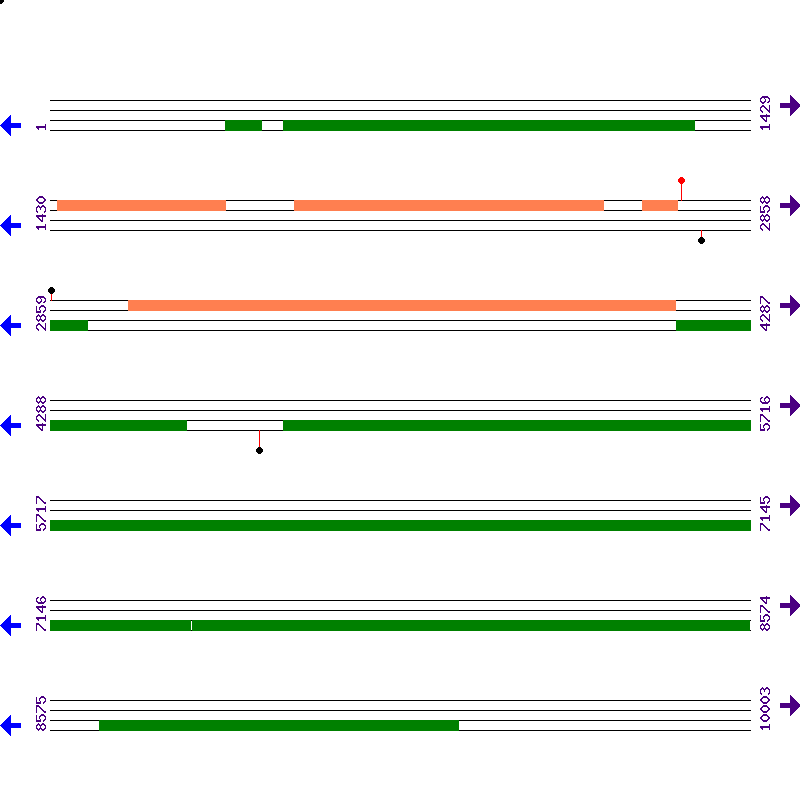 Genome View