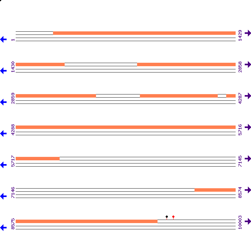 Genome View