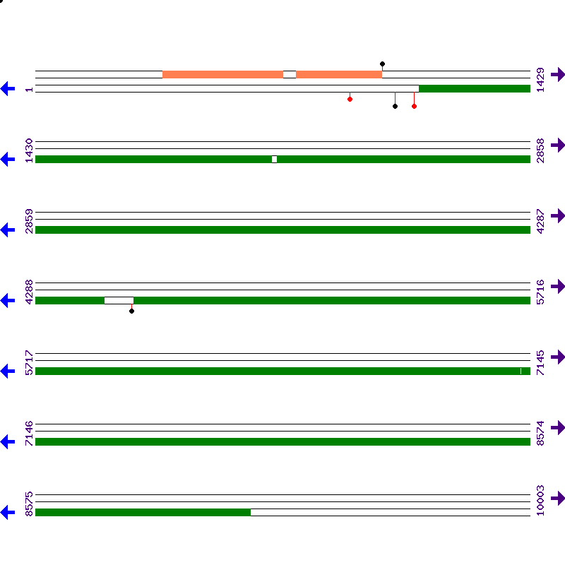 Genome View