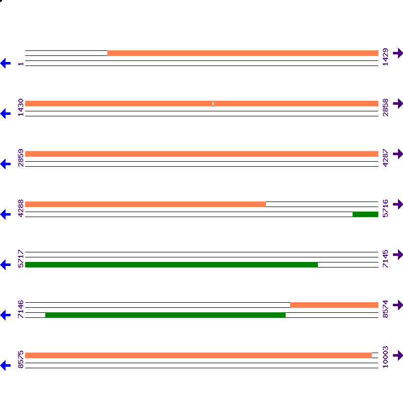 Genome View