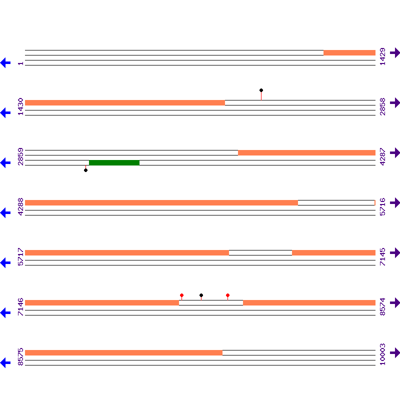 Genome View