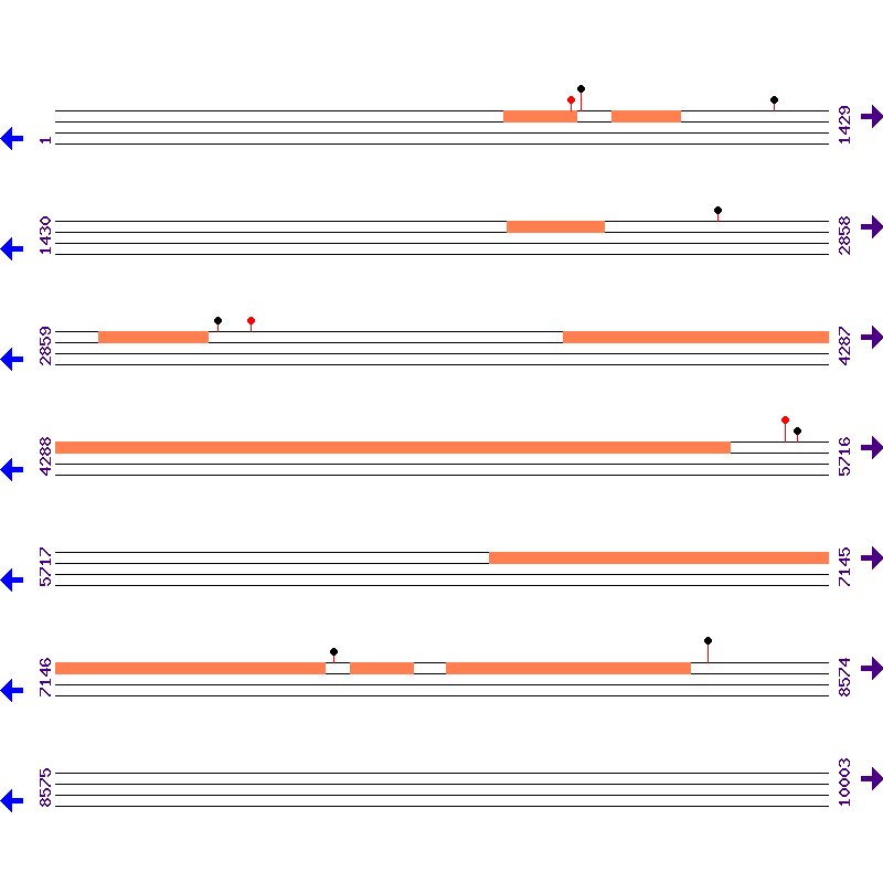 Genome View