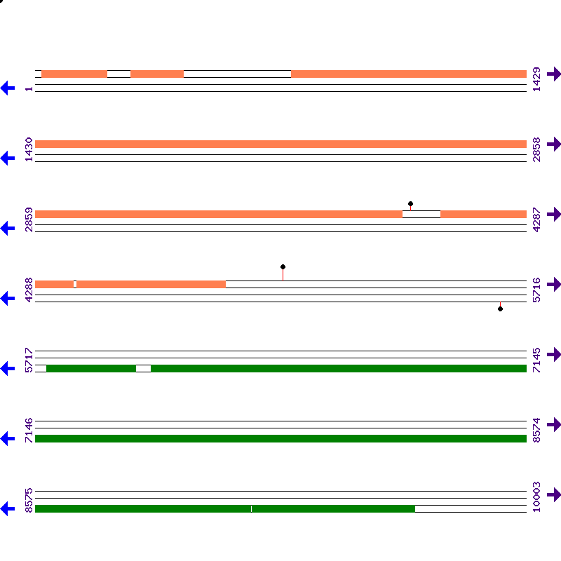 Genome View