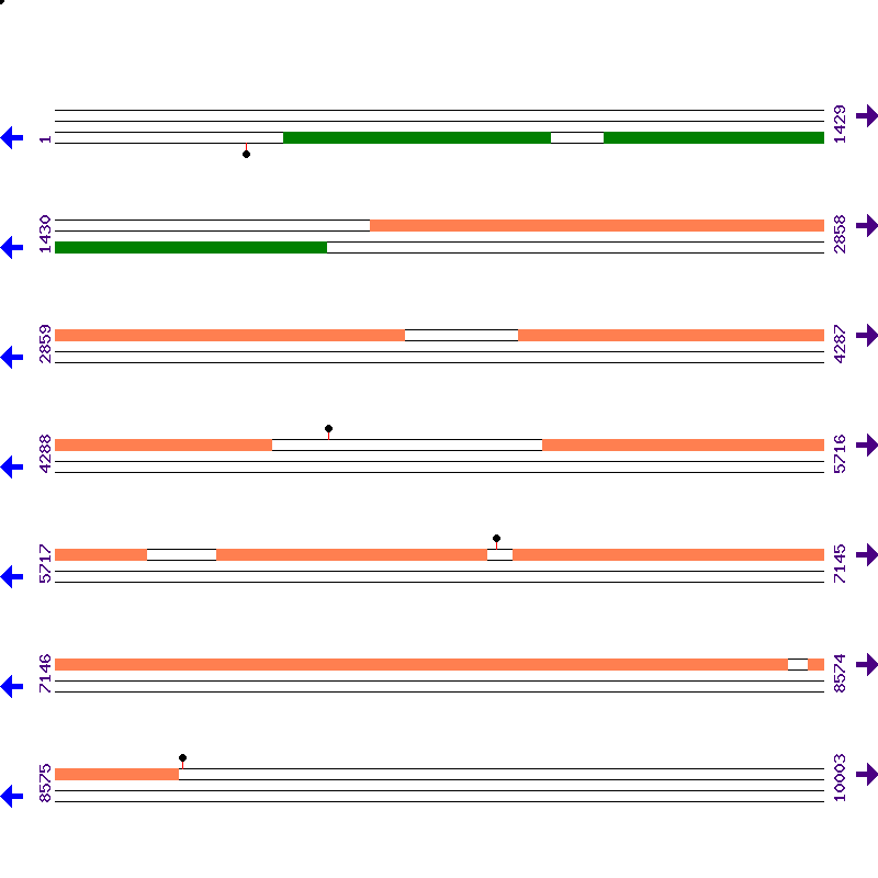 Genome View