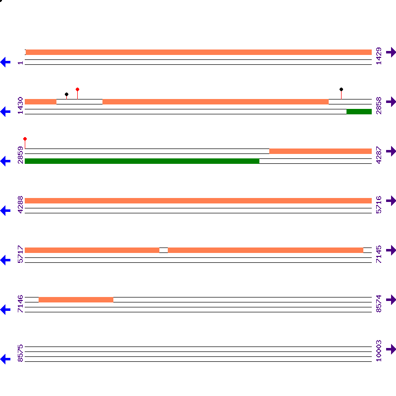 Genome View