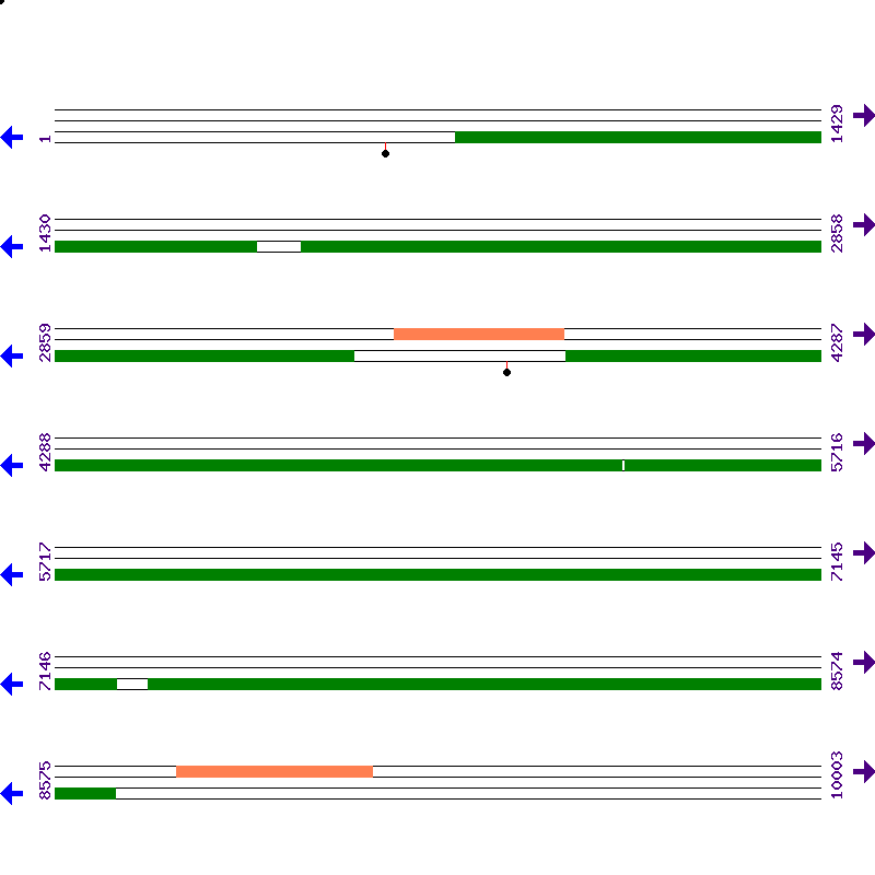 Genome View