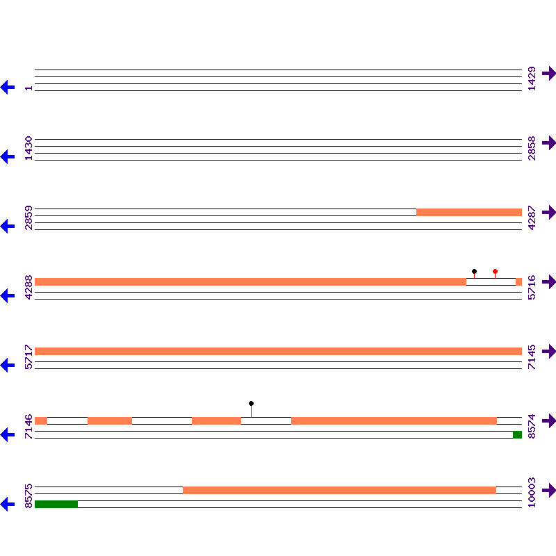 Genome View