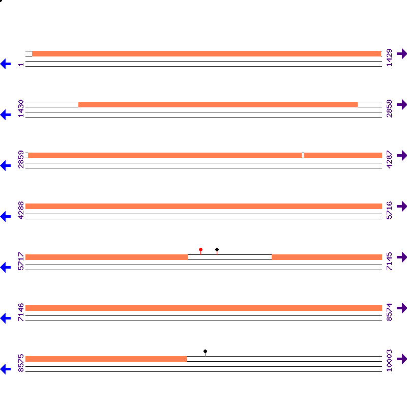 Genome View