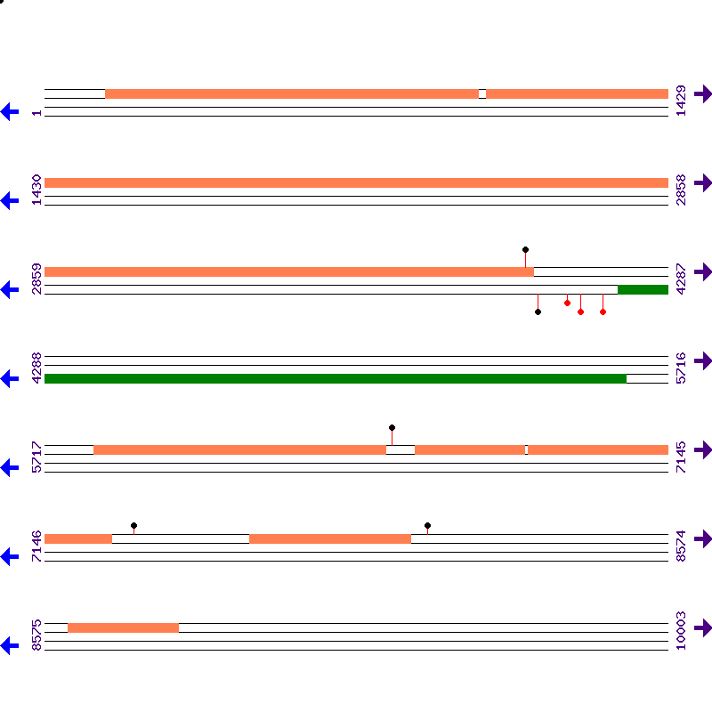 Genome View