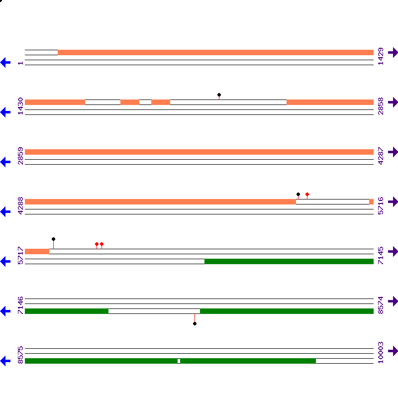 Genome View