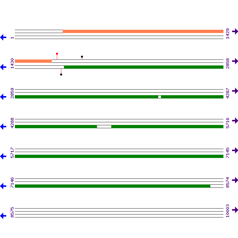Genome View