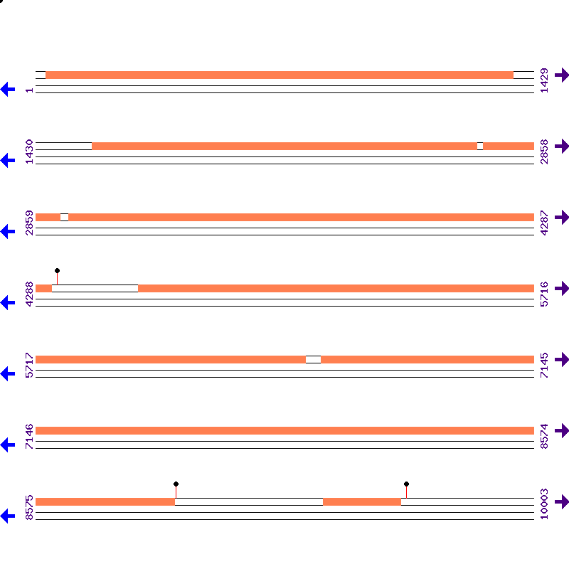 Genome View