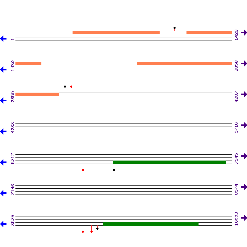 Genome View