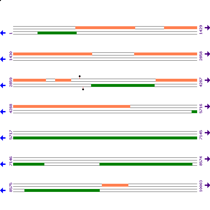 Genome View