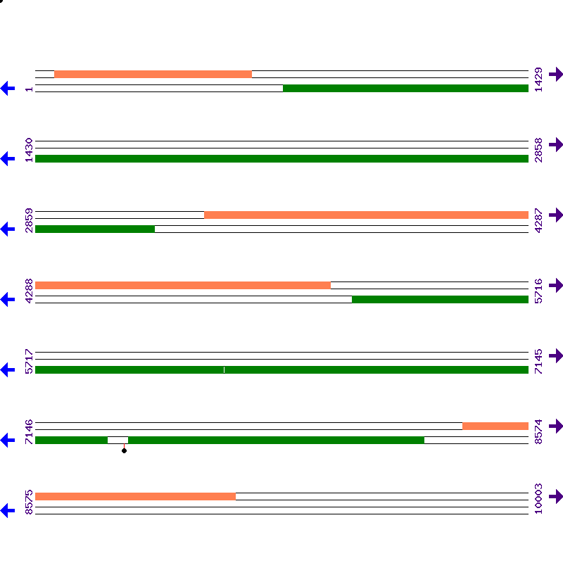 Genome View