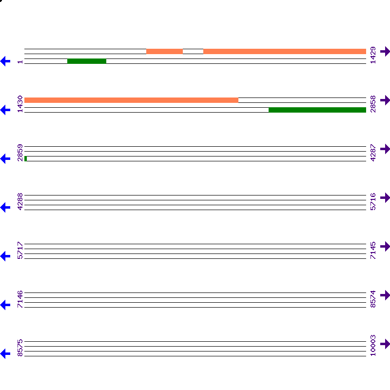 Genome View