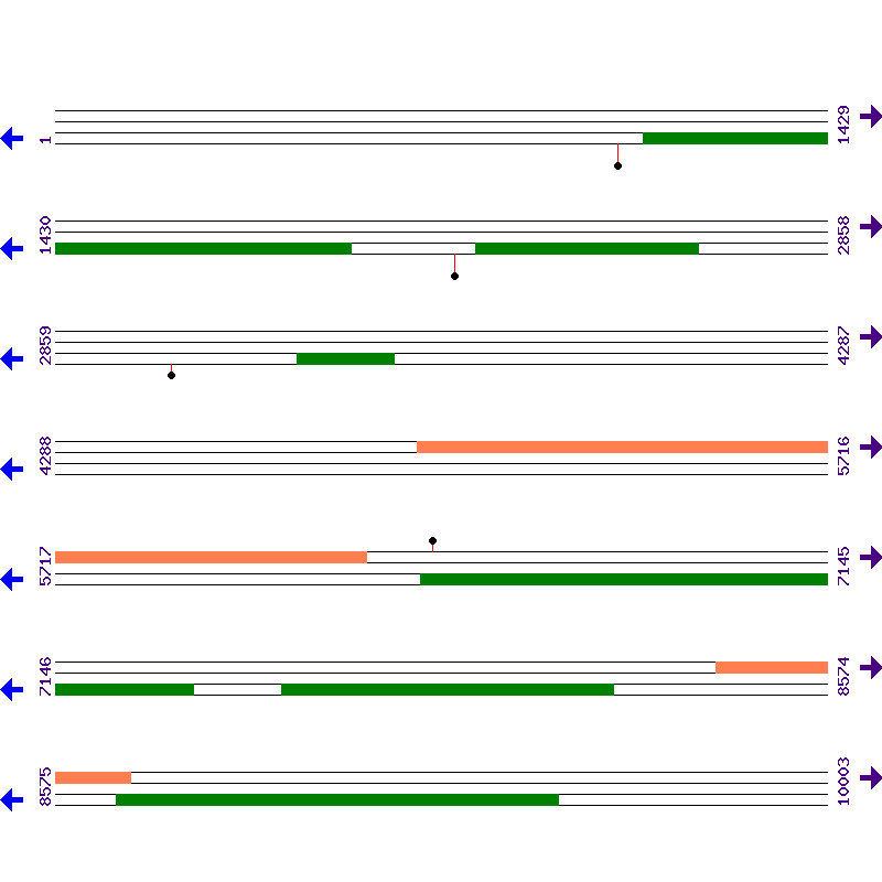 Genome View