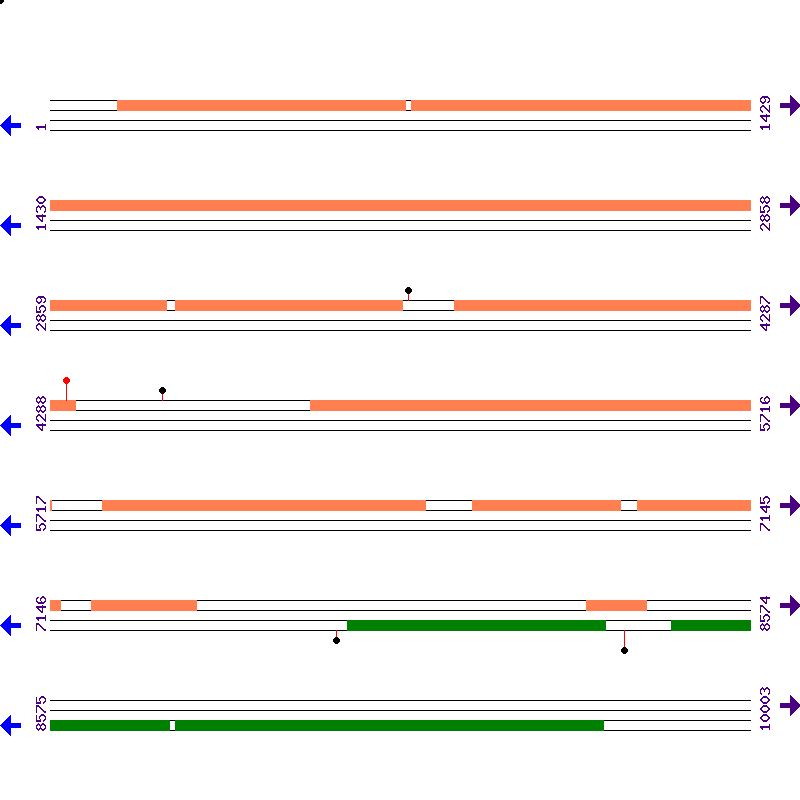 Genome View