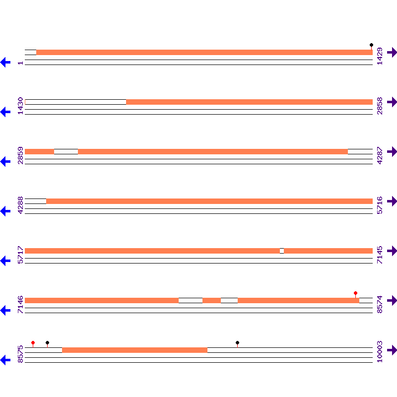 Genome View