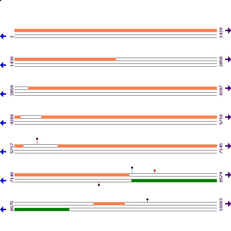 Genome View
