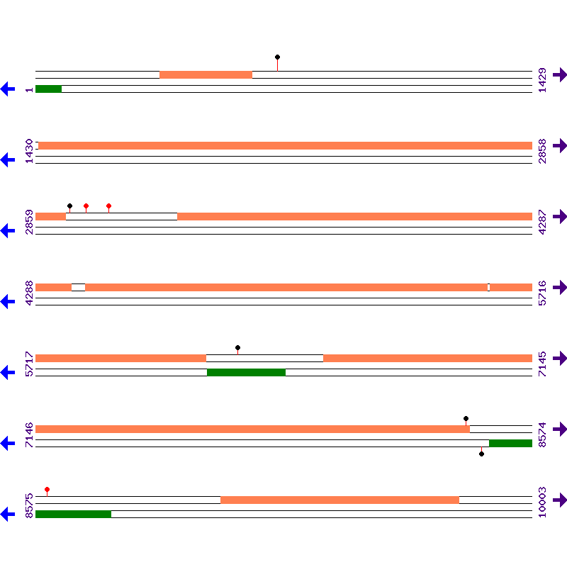 Genome View