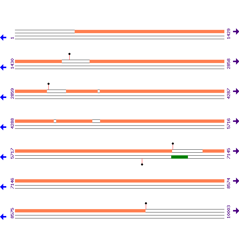 Genome View