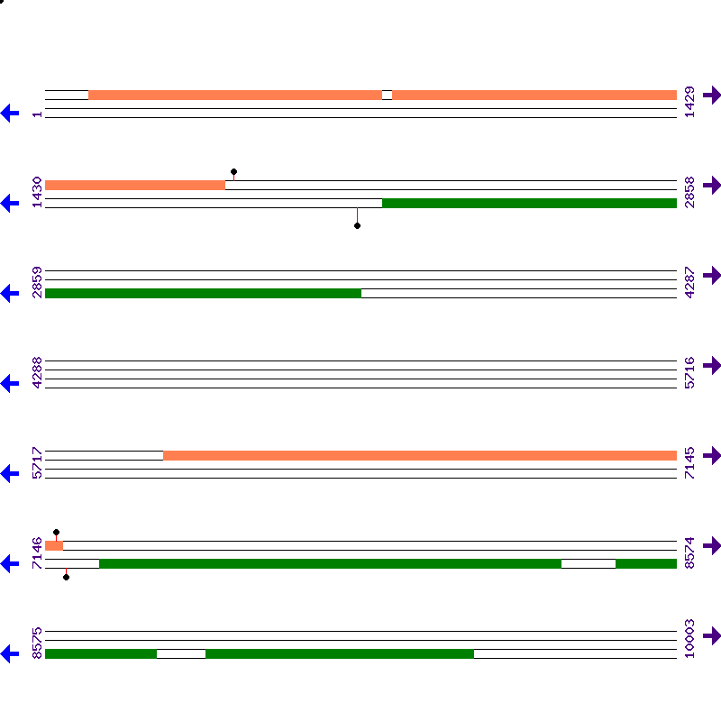 Genome View