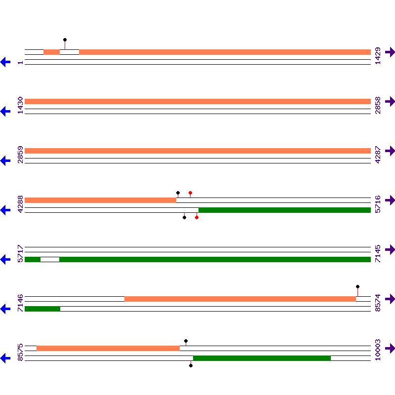 Genome View