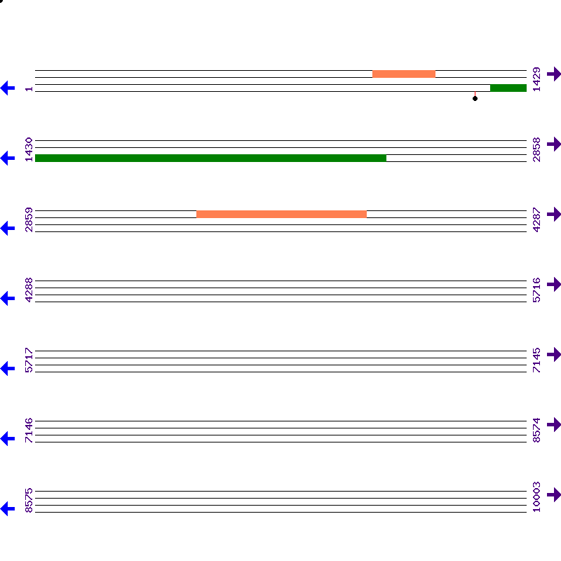 Genome View