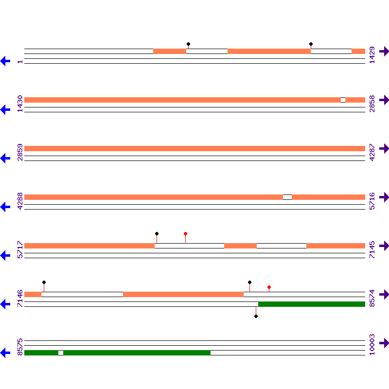 Genome View