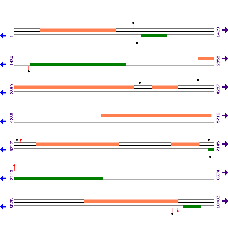 Genome View