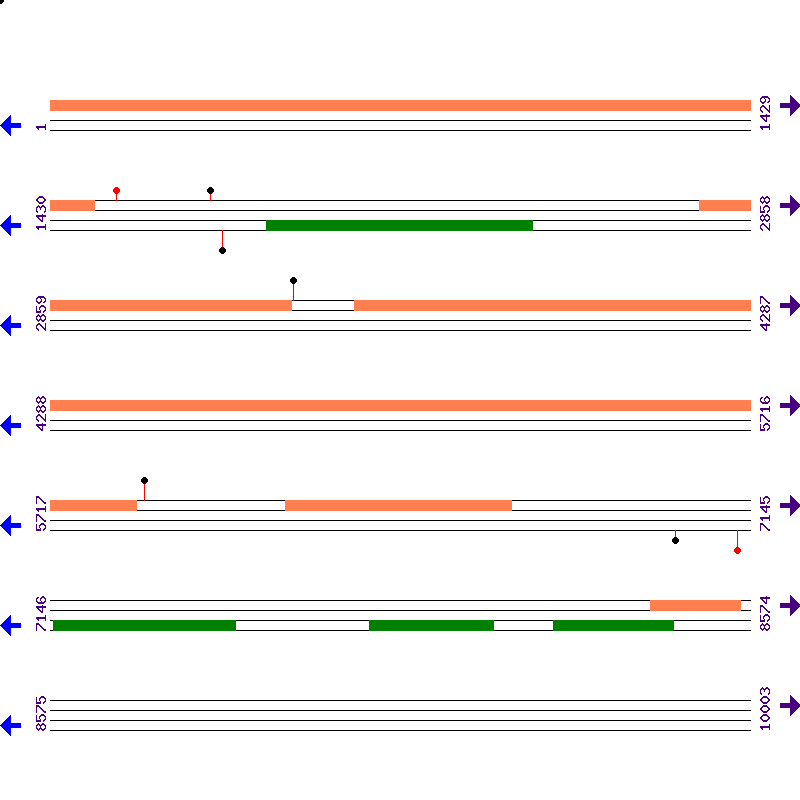 Genome View