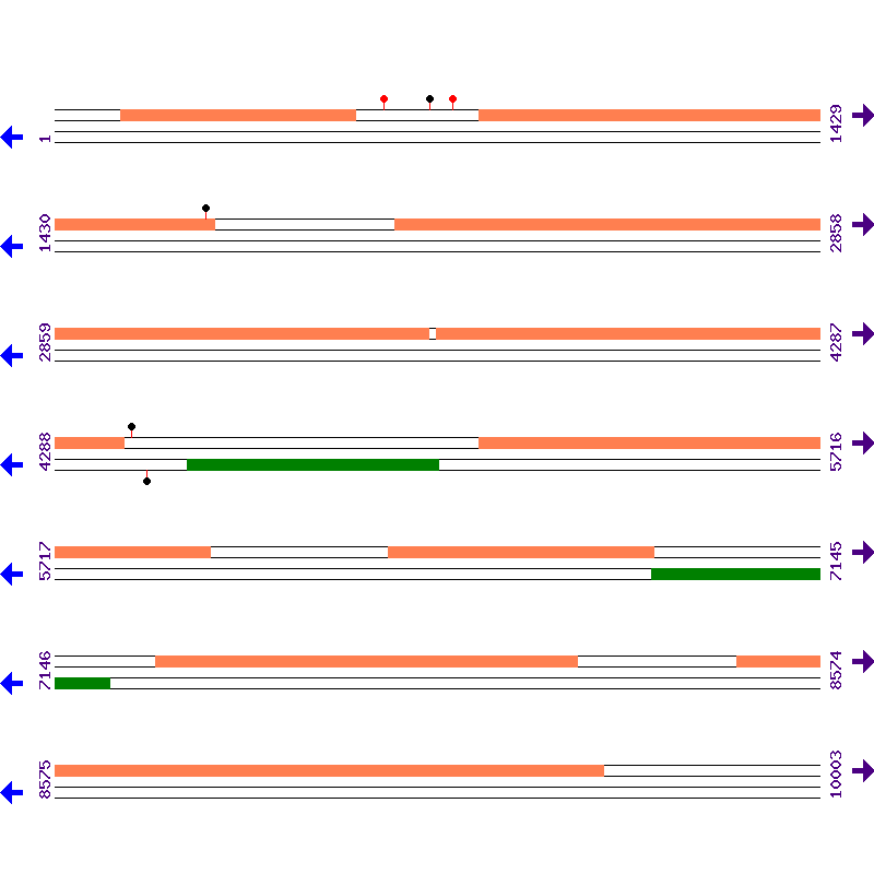 Genome View