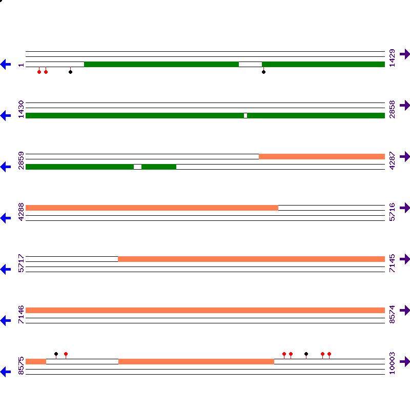 Genome View