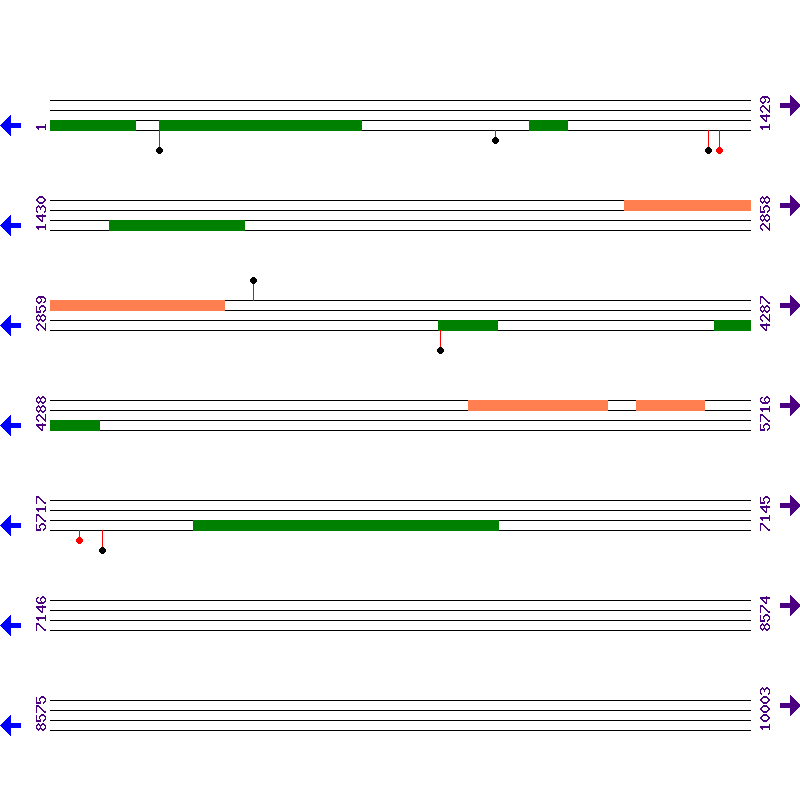 Genome View