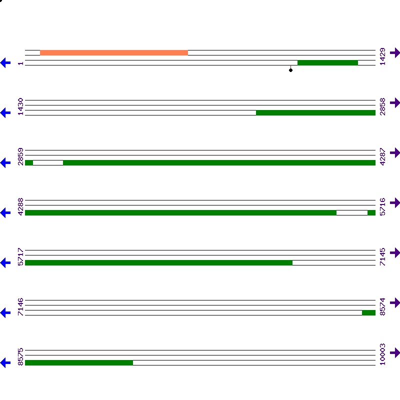 Genome View