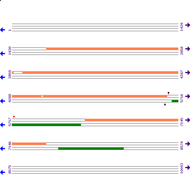 Genome View